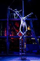 Avec plus de 7000 représentations dans 650 villes à travers le monde, 