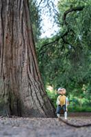 Une marionette en bois