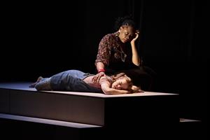 La troupe de l'enfant unique