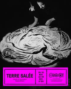 Terre salée
