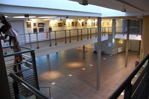 Rénové et inauguré en 2008, le Théâtre Coluche dispose d’une salle de 