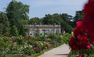 L'Orangerie de Bagatelle