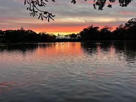 Pour les spectacles du Cirque Alexis GrussLe Cirque tient à vous i