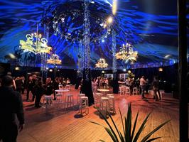 Pour les spectacles du Cirque Alexis GrussLe Cirque tient à vous i