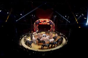 Pour les spectacles du Cirque Alexis GrussLe Cirque tient à vous i