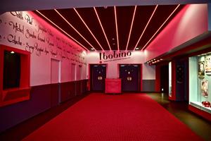 Présentation et historique du lieuCréé en 1813, Bobino est, à l’or