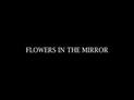 Flowers in the mirror