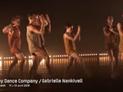 Sydney Dance Company - Lux Tenebris / Wildebeest / Full Moon : bande annonce