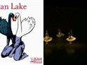 Dada Masilo - Swan Lake