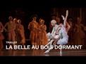Teaser - La Belle au bois dormant