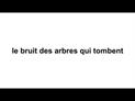 Le bruit des arbres qui tombent de Nathalie Béasse : bande annonce