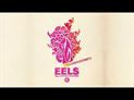 Eels : The Deconstruction title track