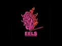 Eels : The Deconstruction - Today is the day