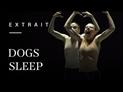 Dogs Sleep par Marco Goecke