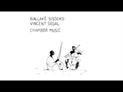 Ballaké Sissoko et Vincent Segal - chamber music