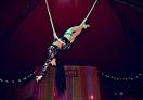 Cirque Tsigane Romanès - La trapéziste des anges ! : Alexandra Romanès 2