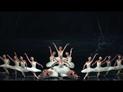 Le Lac des cygnes par le Ballet de l'Opéra de Perm