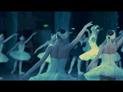 Ballet de l'Opéra National de Kiev - Le lac des cygnes