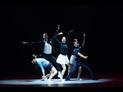 Seize jeunes danseurs du monde entier réunis dans la compagnie de Barcelone IT Dansa