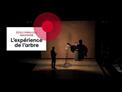 Teaser - L'Expérience de l'arbre