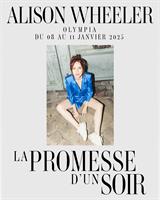 Alison Wheeler - La promesse d'un soir